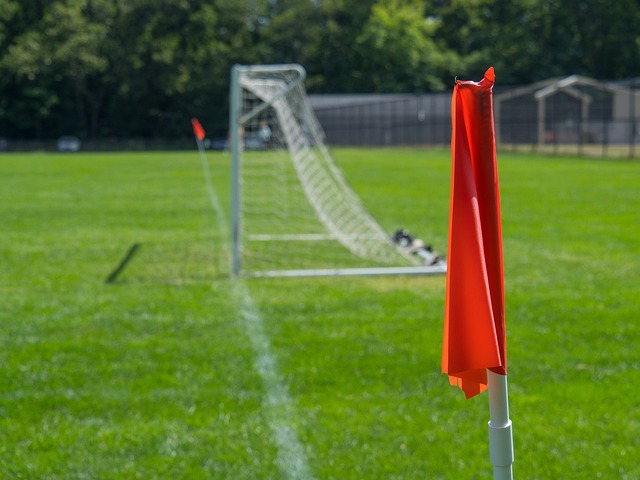 选一直是备 选一直是备