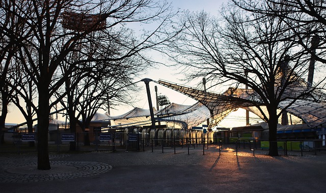 利用社会媒 利用社会媒