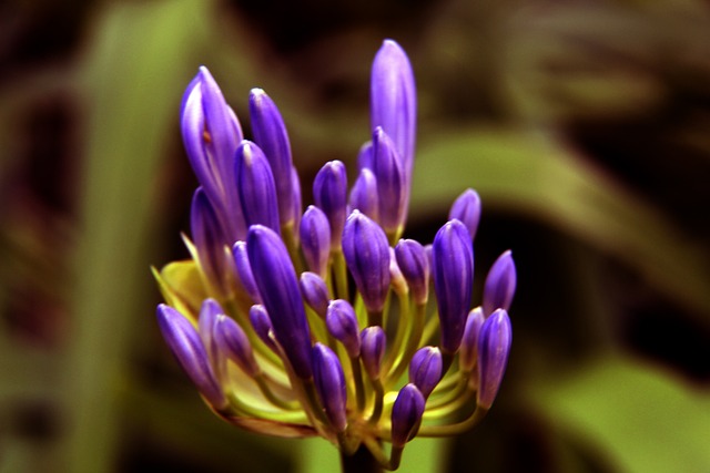 出现的拥挤 出现的拥挤