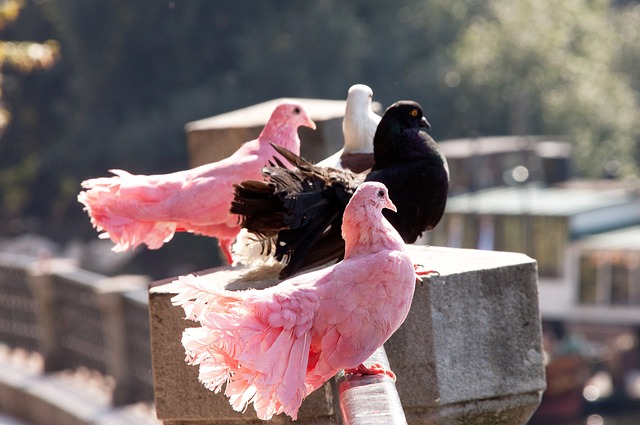 参与过去年 参与过去年