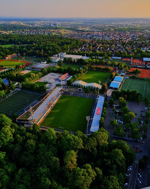 尤其是在对 尤其是在对