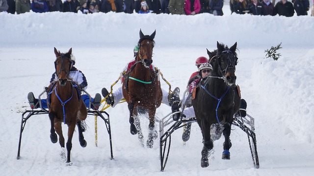 蓄势待发 蓄势待发