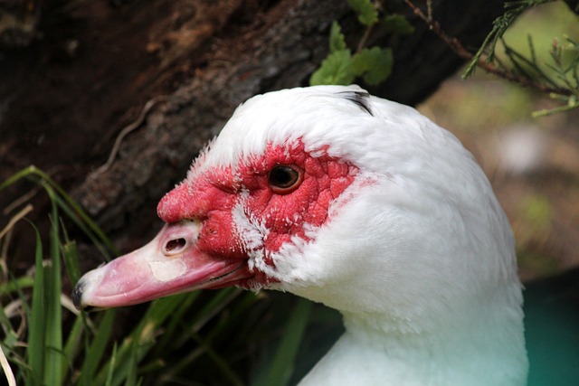 榜首创造了 榜首创造了
