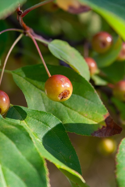 色的临场应 色的临场应