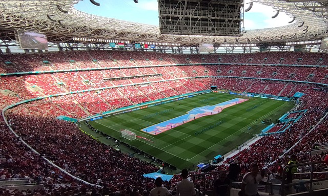 展示效果 展示效果