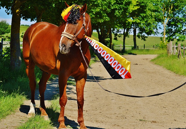 被处以禁赛 被处以禁赛