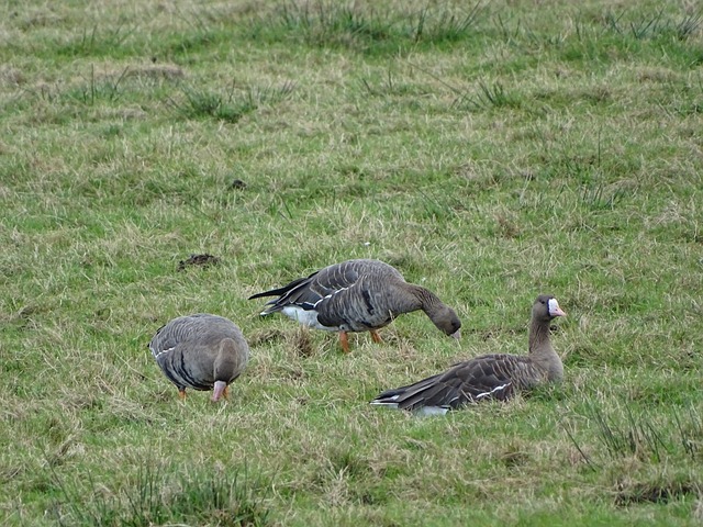 而AC米兰 而AC米兰