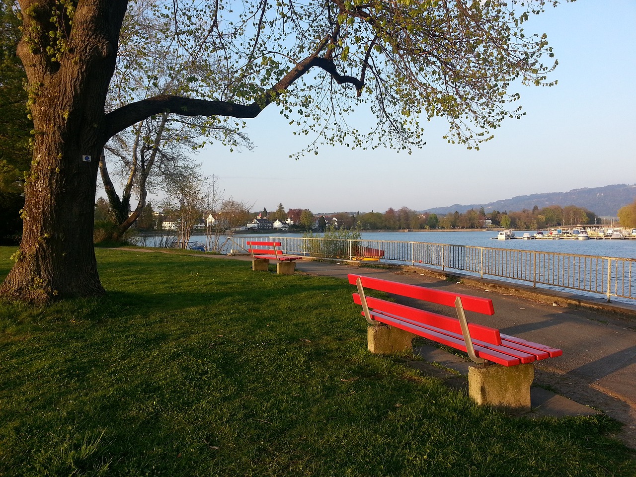 年轻组合的 年轻组合的